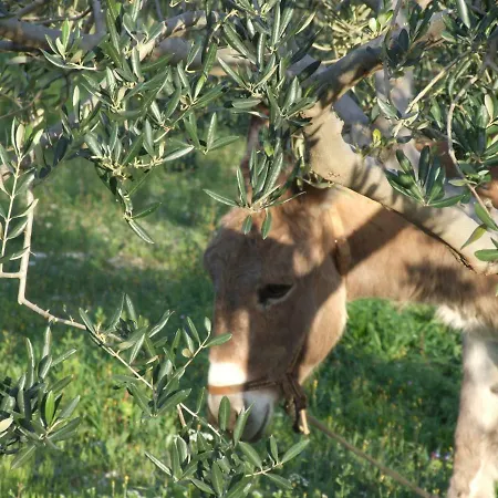 Katia בית נופש *