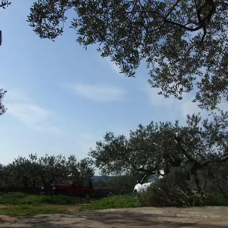 Katia * بوتشيتشا