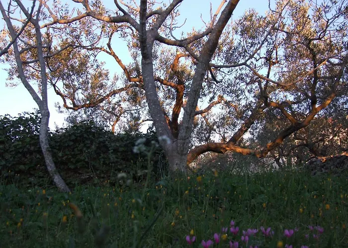 Katia * Pucisca