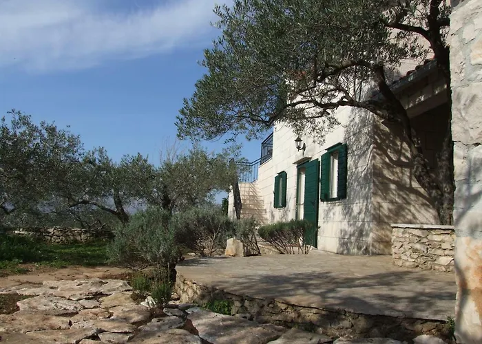 Katia Pucisca